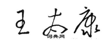 駱恆光王太康草書個性簽名怎么寫