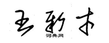 朱錫榮王新才草書個性簽名怎么寫