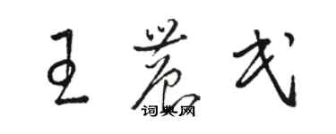 駱恆光王農民草書個性簽名怎么寫