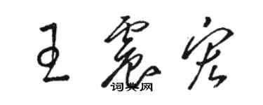 駱恆光王震宏草書個性簽名怎么寫