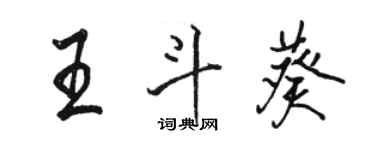 駱恆光王斗葵行書個性簽名怎么寫