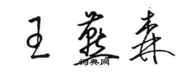 駱恆光王燕森草書個性簽名怎么寫