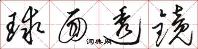 駱恆光球面透鏡草書怎么寫