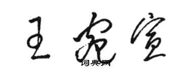 駱恆光王宛宣草書個性簽名怎么寫