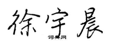 王正良徐宇晨行書個性簽名怎么寫