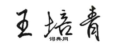 駱恆光王培青行書個性簽名怎么寫