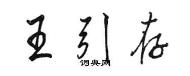 駱恆光王引存行書個性簽名怎么寫