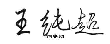駱恆光王純超行書個性簽名怎么寫