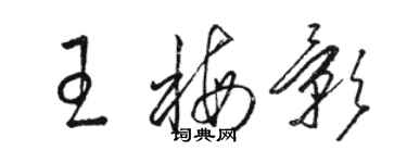 駱恆光王梅影草書個性簽名怎么寫