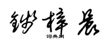 朱錫榮錢梓晨草書個性簽名怎么寫