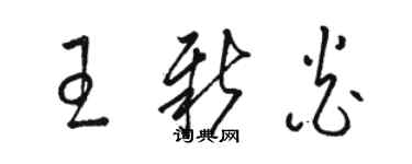 駱恆光王新炎草書個性簽名怎么寫