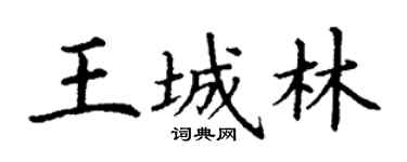 丁謙王城林楷書個性簽名怎么寫