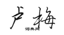 駱恆光盧梅行書個性簽名怎么寫