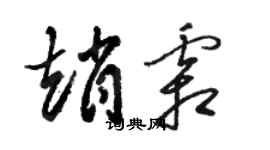 駱恆光趙霜草書個性簽名怎么寫