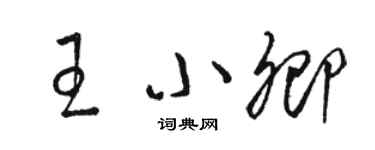 駱恆光王小卿草書個性簽名怎么寫