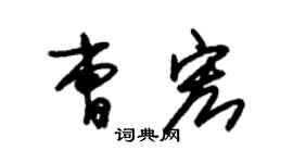 朱錫榮曹宏草書個性簽名怎么寫
