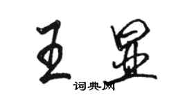 駱恆光王顯行書個性簽名怎么寫