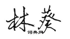 駱恆光林葵行書個性簽名怎么寫