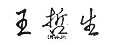 駱恆光王哲生行書個性簽名怎么寫