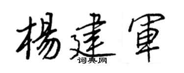 王正良楊建軍行書個性簽名怎么寫