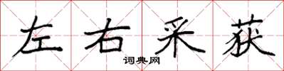 袁強左右採獲楷書怎么寫