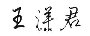 駱恆光王洋君行書個性簽名怎么寫