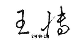 駱恆光王博草書個性簽名怎么寫