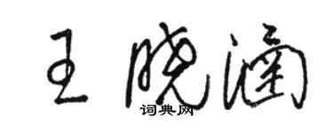 駱恆光王曉涵草書個性簽名怎么寫