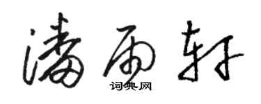 駱恆光潘雨軒草書個性簽名怎么寫