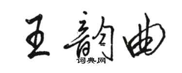 駱恆光王韻曲行書個性簽名怎么寫