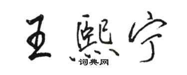 駱恆光王熙寧行書個性簽名怎么寫