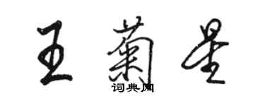 駱恆光王菊星行書個性簽名怎么寫