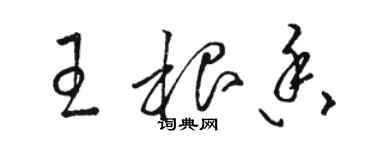 駱恆光王根香草書個性簽名怎么寫