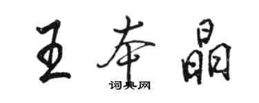 駱恆光王本晶行書個性簽名怎么寫