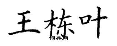 丁謙王棟葉楷書個性簽名怎么寫