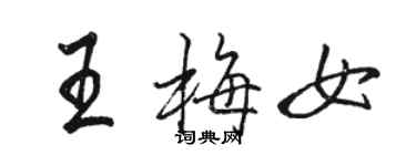 駱恆光王梅女行書個性簽名怎么寫