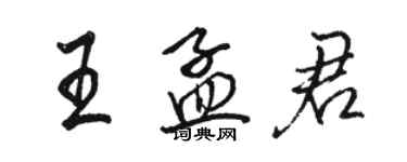 駱恆光王孟君行書個性簽名怎么寫