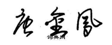 朱錫榮唐金鳳草書個性簽名怎么寫