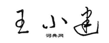 駱恆光王小建草書個性簽名怎么寫