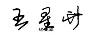 朱錫榮王星竹草書個性簽名怎么寫