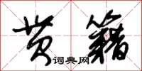 朱錫榮貫籍草書怎么寫