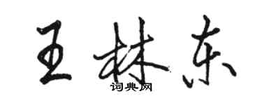 駱恆光王林東行書個性簽名怎么寫