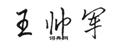 駱恆光王帥軍行書個性簽名怎么寫