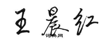駱恆光王晨紅行書個性簽名怎么寫