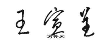 駱恆光王宣呈草書個性簽名怎么寫