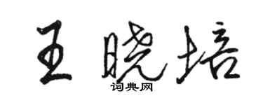 駱恆光王曉培行書個性簽名怎么寫