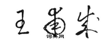 駱恆光王甫成草書個性簽名怎么寫