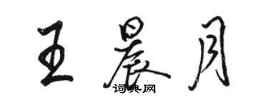 駱恆光王晨月行書個性簽名怎么寫