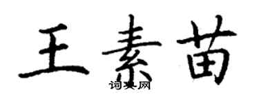 丁謙王素苗楷書個性簽名怎么寫