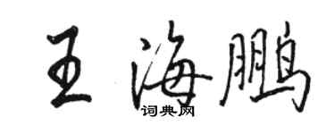 駱恆光王海鵬行書個性簽名怎么寫